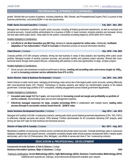 Business Consultant Resume Sample & Template Page 2