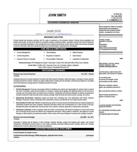Insurance Resume Samples