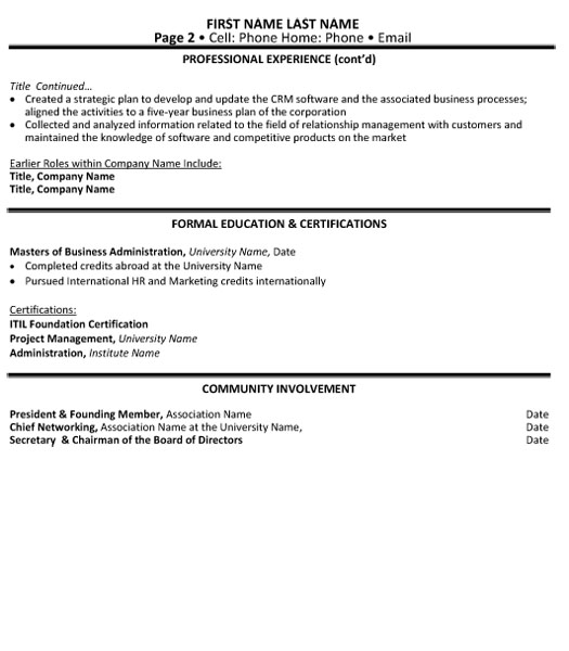 Director Technology Resume Sample & Template Page 2