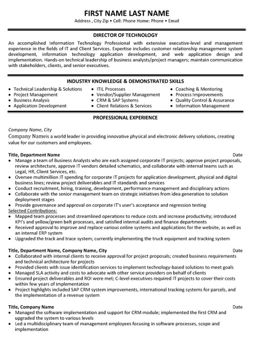 Director Technology Resume Sample & Template