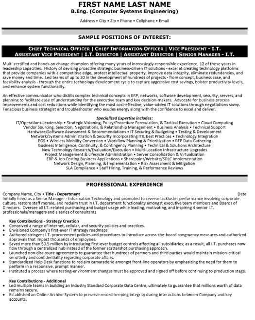 Chief Technical Officer Resume Sample & Template