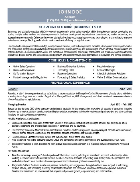 IT Sales Leader Resume Sample & Template