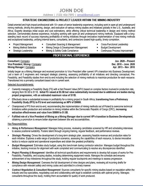 Vice President Mining Resume Sample & Template