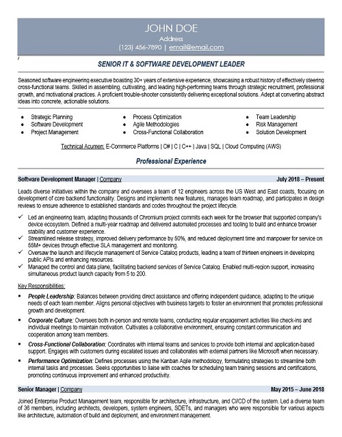 Software Development Manager Resume Sample & Template
