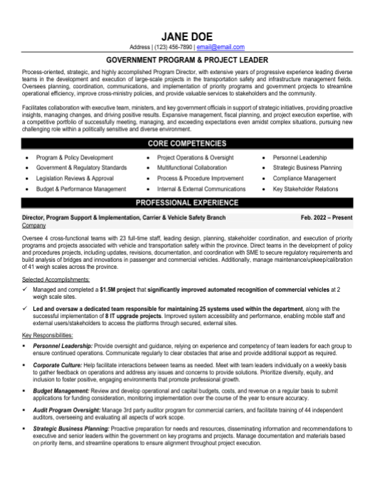 Program Director Resume Sample & Template