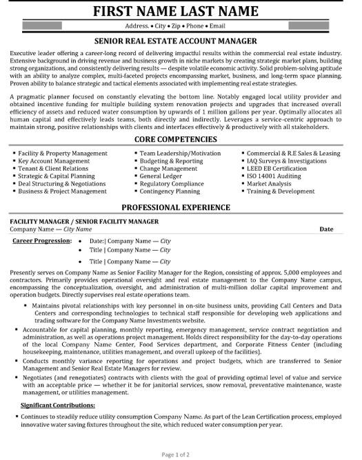 Senior Account Manager Resume Sample & Template
